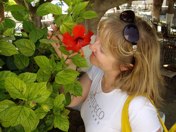 Багрикова Светлана