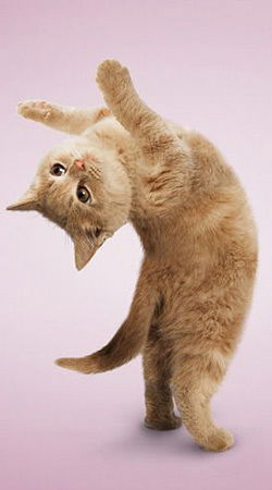 Ольга Маргацкая