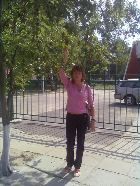Светлана Викина