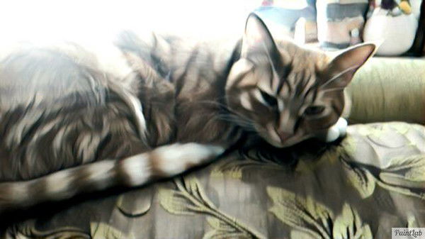 Ленуся Целитель