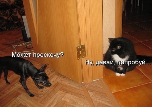 Светлана Буркина
