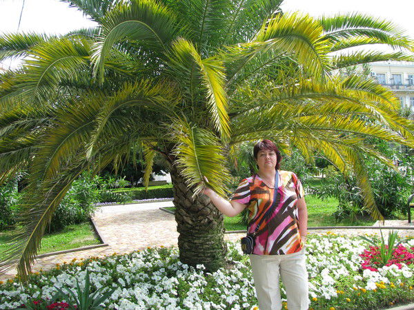 Юлия Шеломаева