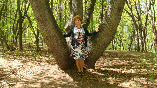 Алла Галкина