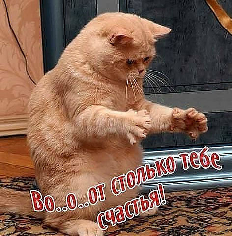 Танюшка