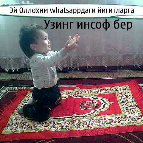 Babens_3 Babens_3