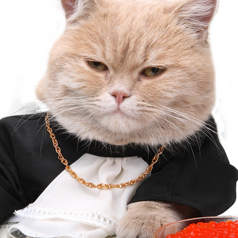 Юрий Лепилин