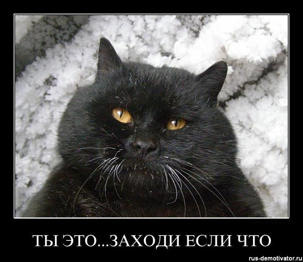 Александр Самозван