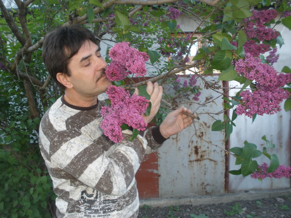 Валерий Резниченко