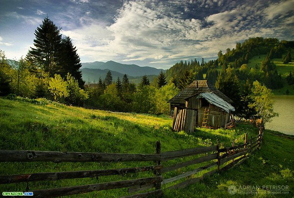 Леонора Гребенщикова