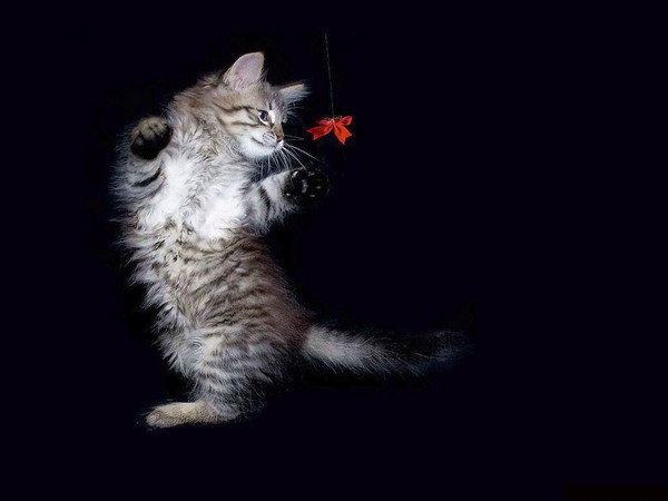 Гульмира Еркебулановна