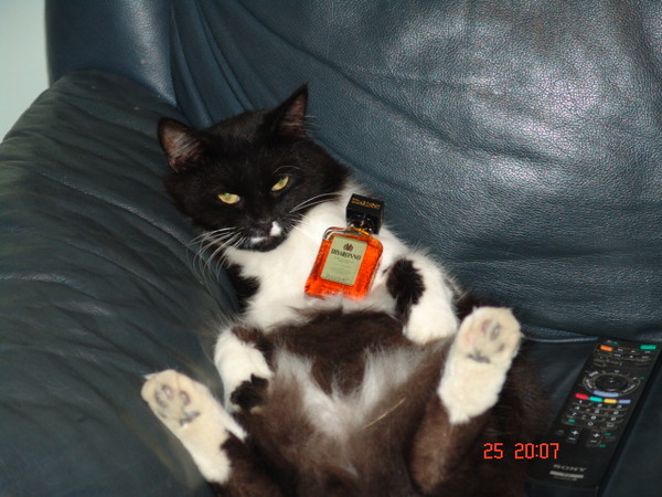 Vladimir Turmankin