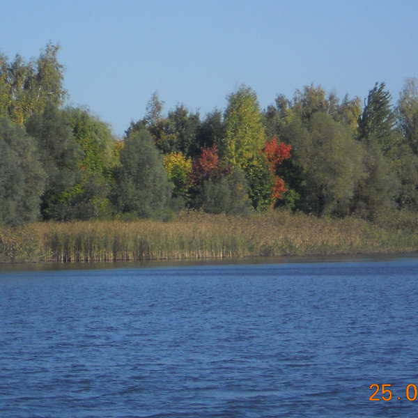 Виктор Лебедь