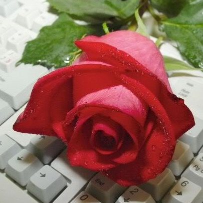 Роксана Павлова
