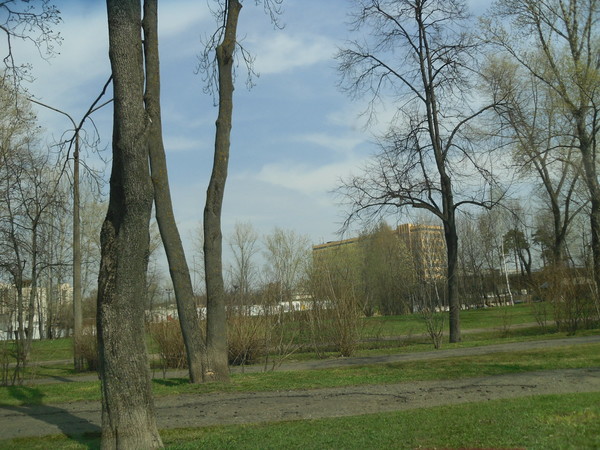 Светлана Сенченко