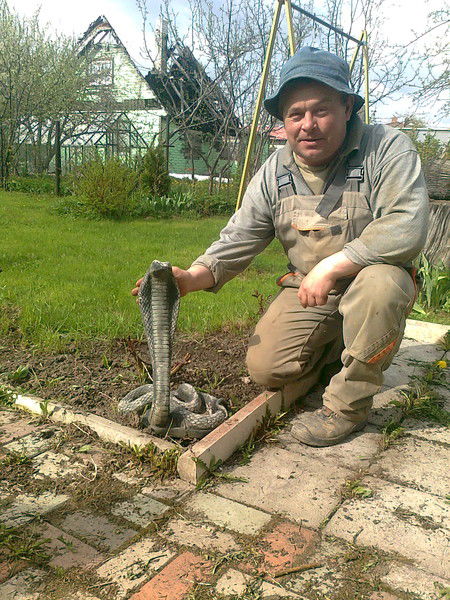 Андрей Сериков