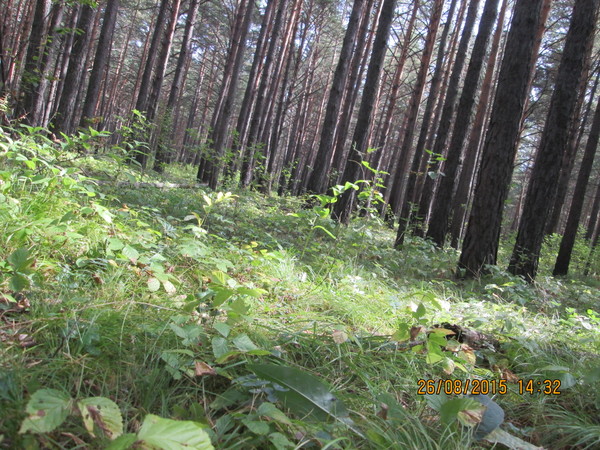 Павел -