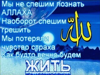 Светлана Абдикаримова