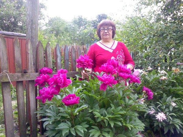 Зоя Гоман