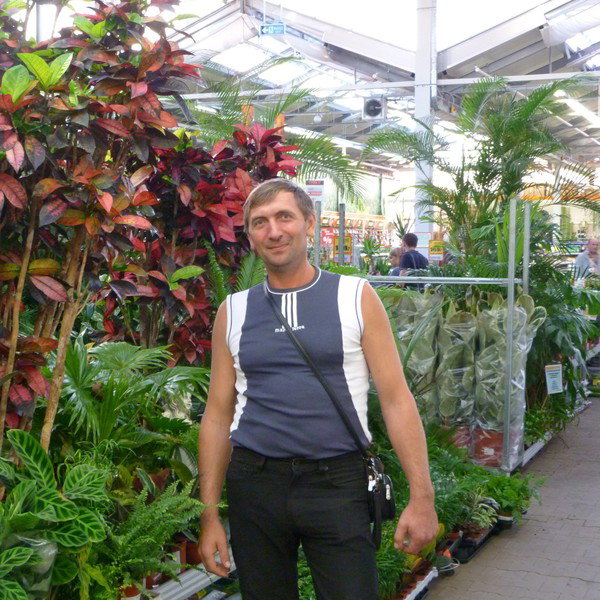 Алексей Мареев