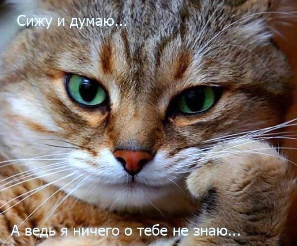 Миша Ганчин