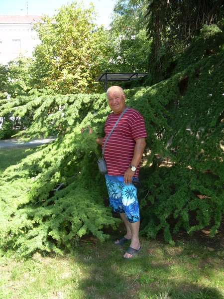 Хафис Нугманов