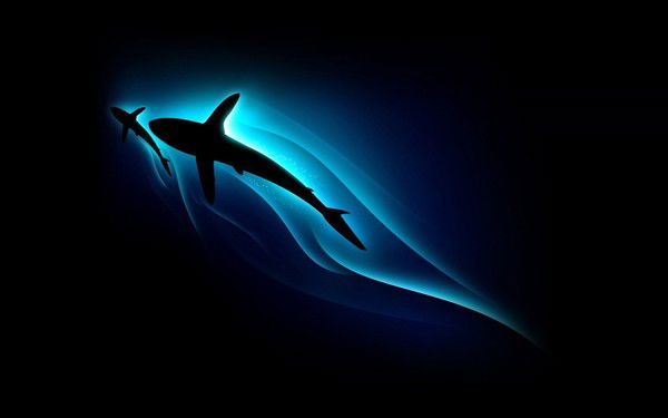 Оксана Степанова