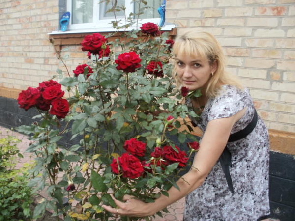 Светлана Козаченко
