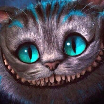 ~ CaT ~