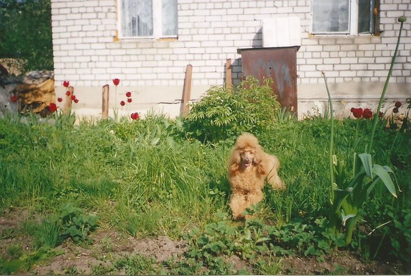 Ольга Baginskaya