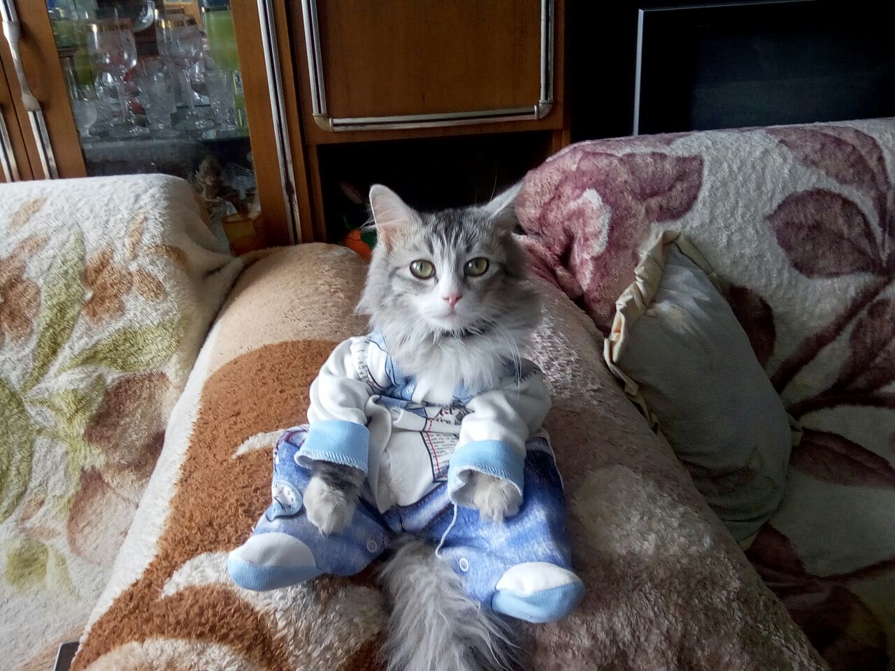 Серега Котяяра