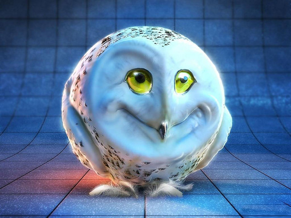 Егор Коршунов