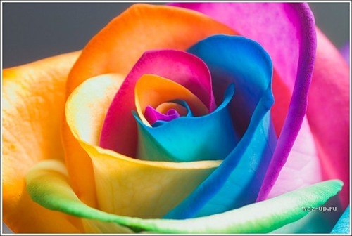 Вика Виктория