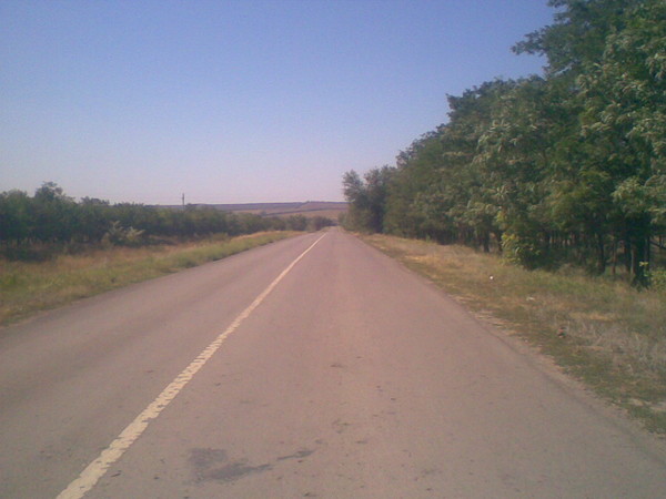 Владимир Гуреев