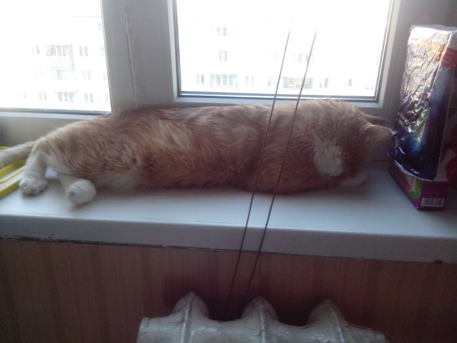 Дашуля