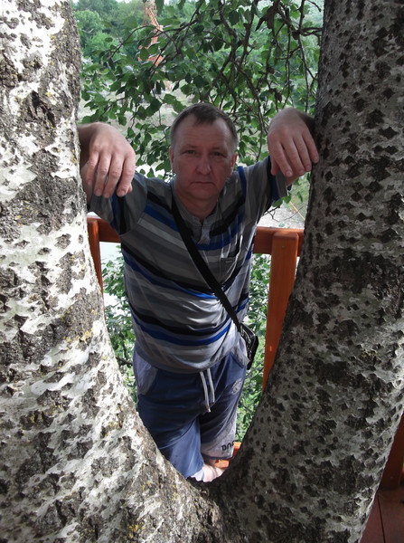Алексей Астахов