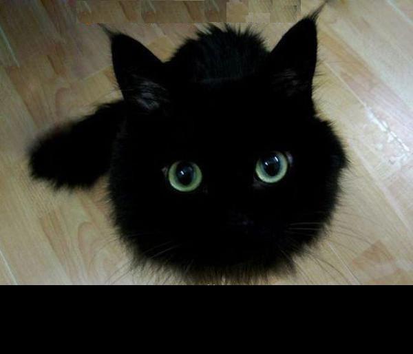 Татьяна Елезова