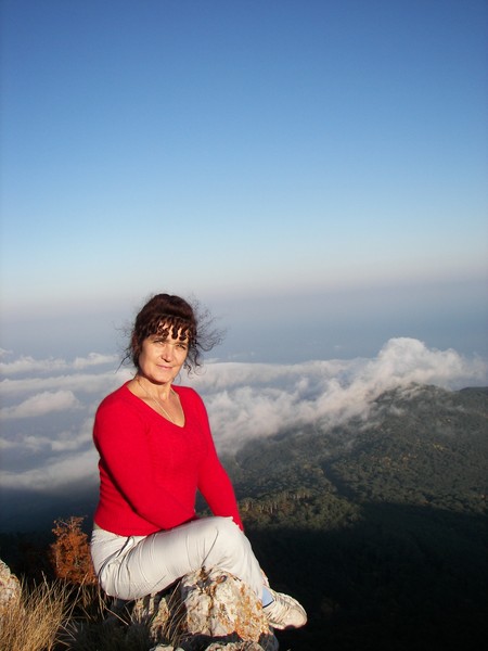 Vera Grecko