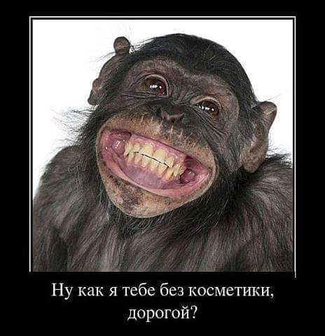 Клуня