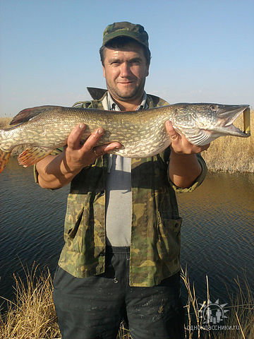 Сергей Ляхов