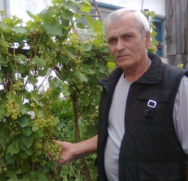 Александр Папсулис