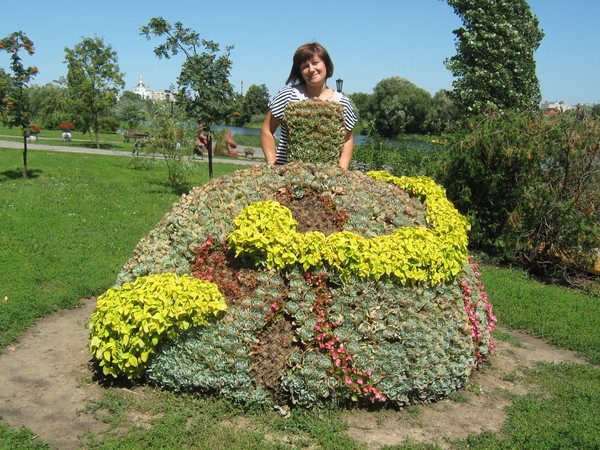 Елена Щепилова