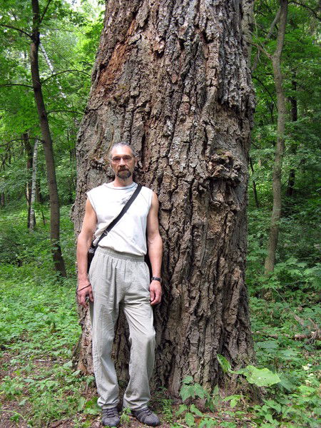 Сергей Зелин