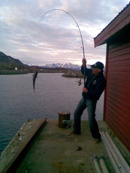 Яхья Мархиев