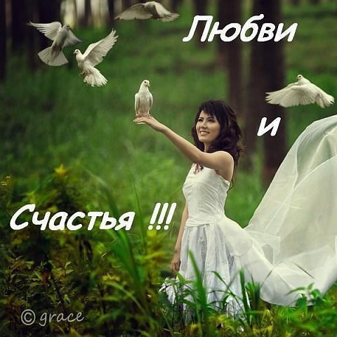 Наталья Метлина