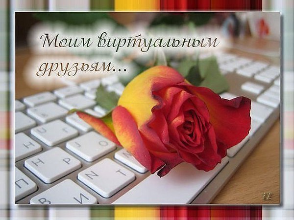 Лариса Вавуленко