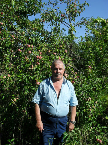 Евгений Матершев