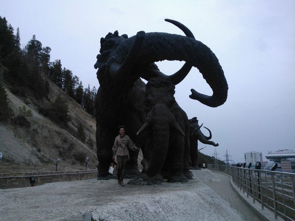 Олеся Гребенникова