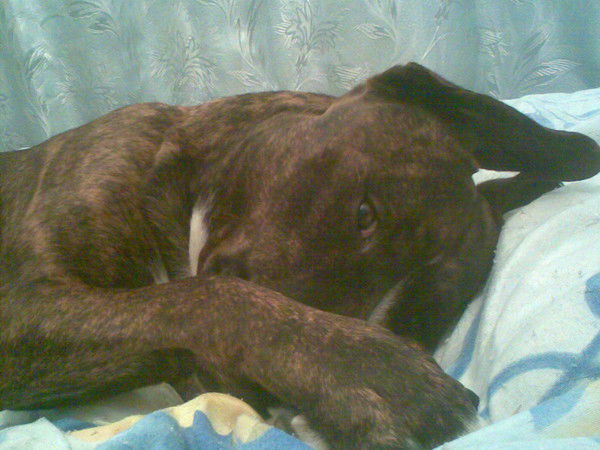 Галина Праслова