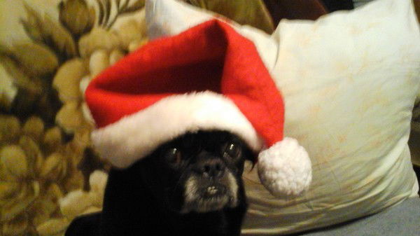 Светлана Шуваева