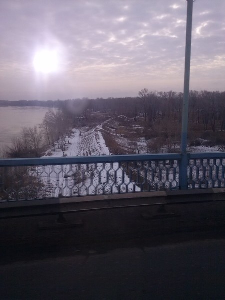 Юлия Прохорова